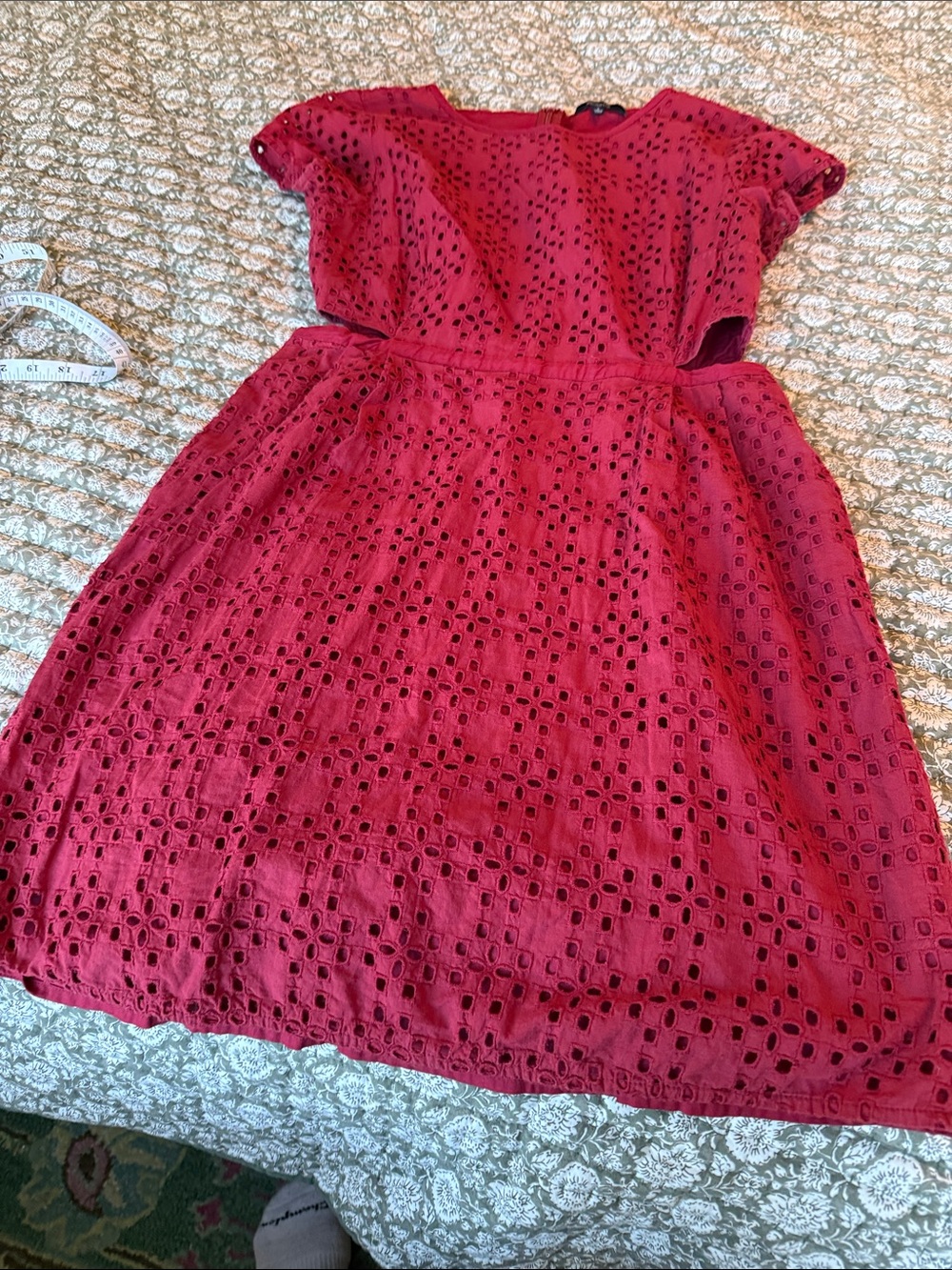 Madewell Raspberry Eyelet Mini Dress - Picture 4 of 7